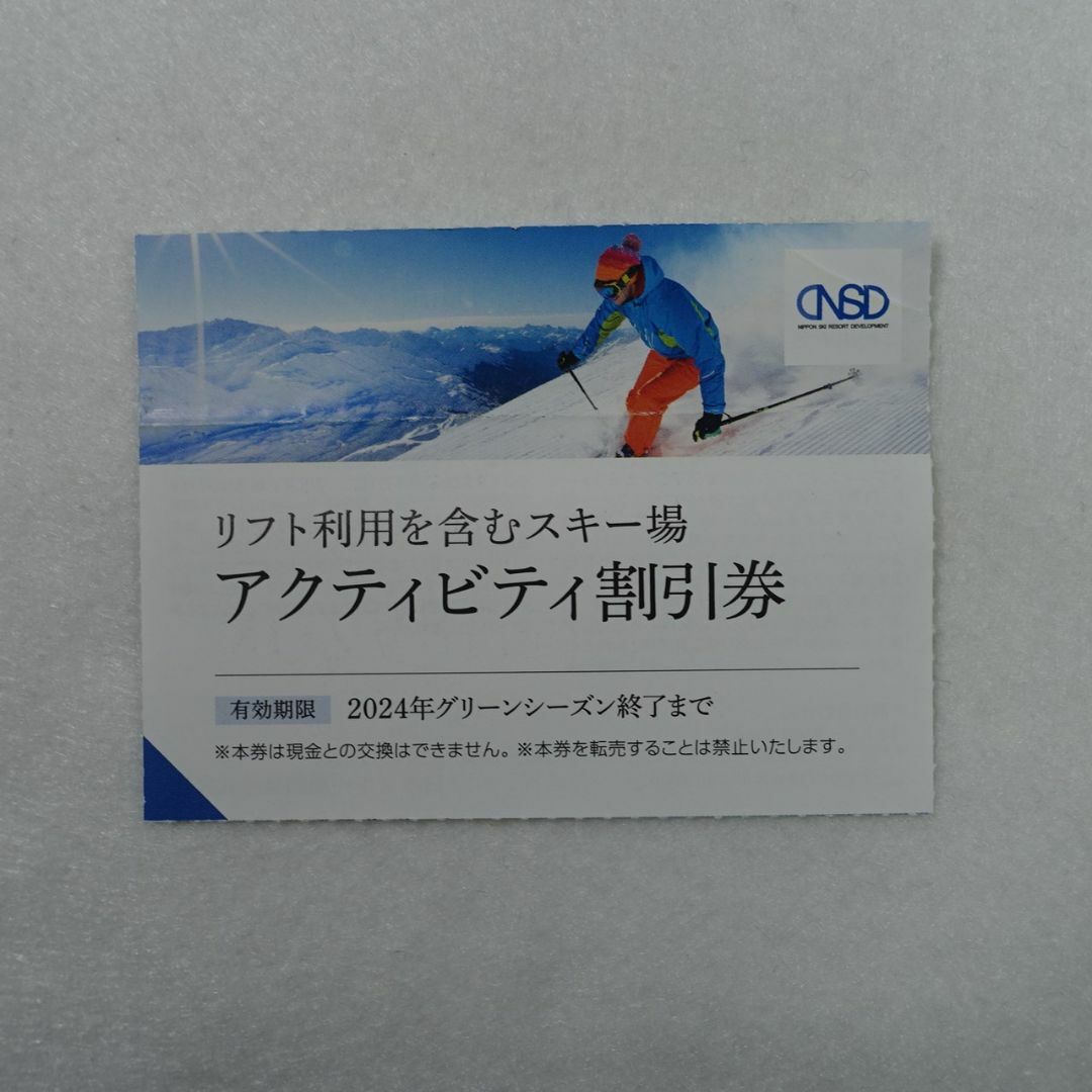 日本駐車場開発 株主優待券 スキー場 アクティビティ割引券 チケットの施設利用券(スキー場)の商品写真