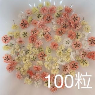 オレンジ系 かすみ草ドライフラワー100粒(ドライフラワー)