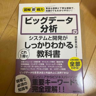 ビッグデータ分析のシステムと開発がこれ１冊でしっかりわかる教科書(コンピュータ/IT)