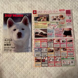 雑誌 写真集 暴走族 写真集 I LOVE ARMYの通販 by にこ's shop｜ラクマ