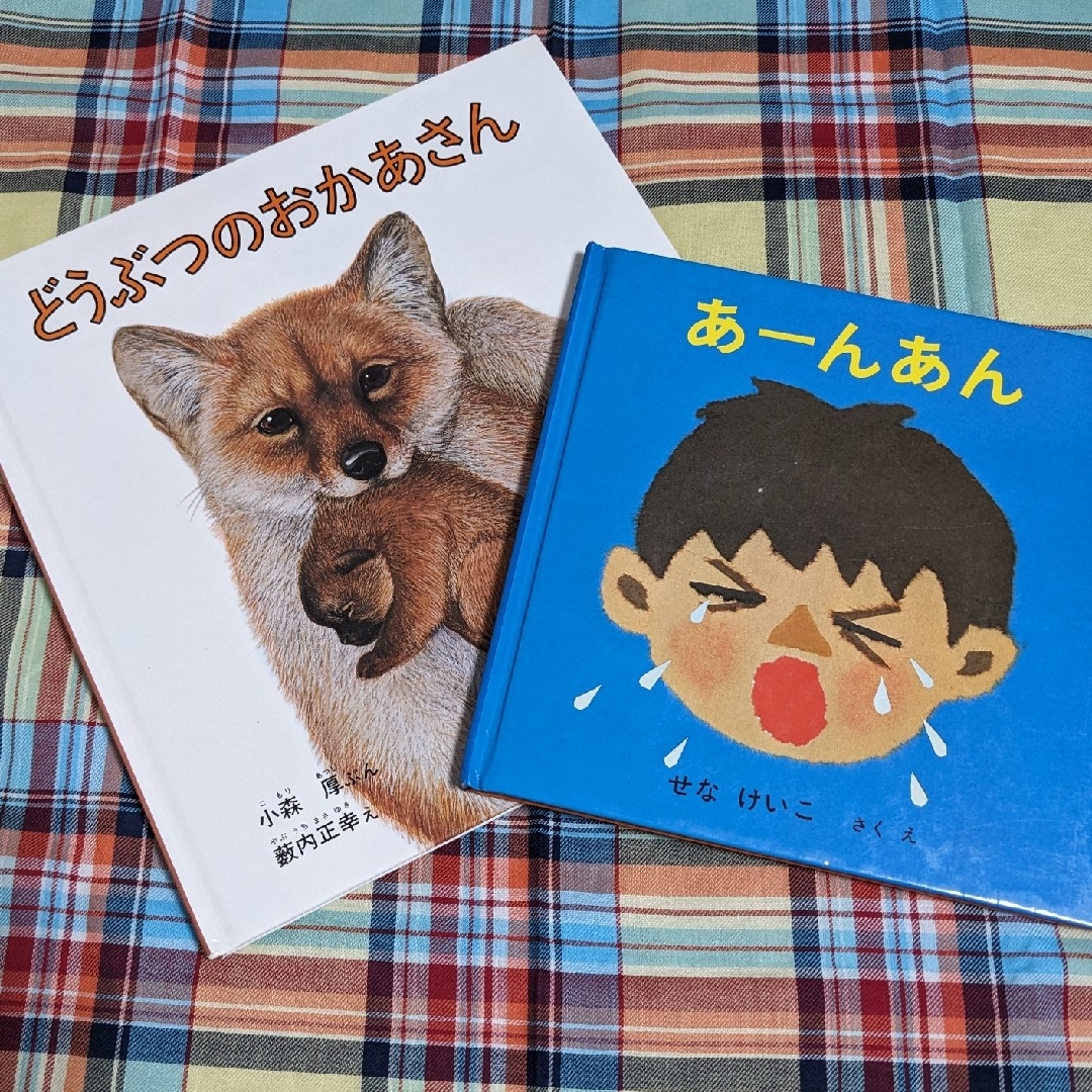 福音館書店(フクインカンショテン)の絵本　2冊 エンタメ/ホビーの本(絵本/児童書)の商品写真