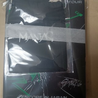 ストレイキッズ(Stray Kids)のStray　Kids　2nd　World　Tour“MANIAC”ENCORE…(ミュージック)