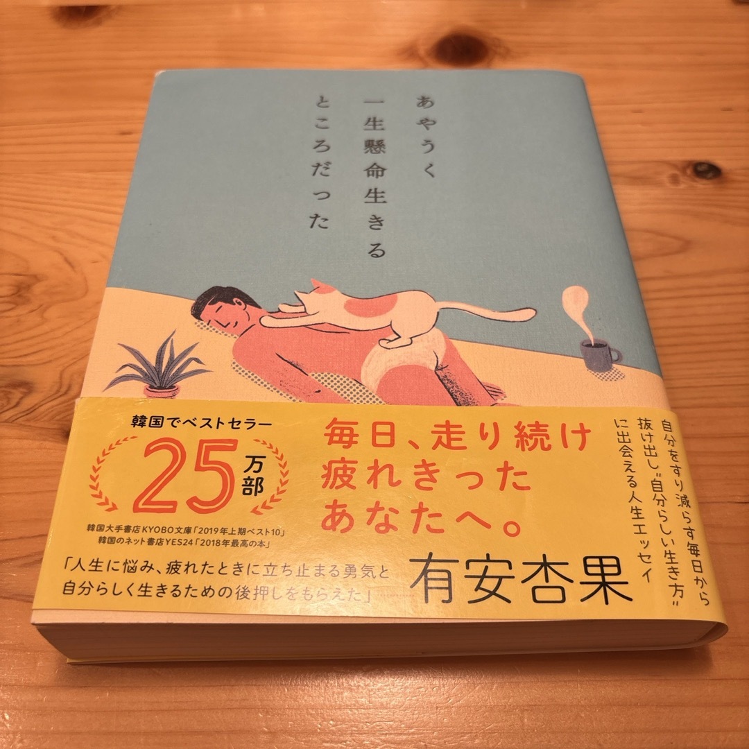 ダイヤモンド社(ダイヤモンドシャ)のあやうく一生懸命生きるところだった　ハ・ワン 岡崎暢子　ダイヤモンド社 エンタメ/ホビーの本(その他)の商品写真