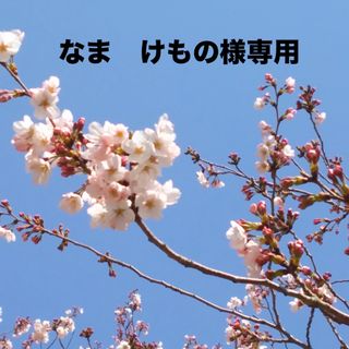 なま　けもの様専用(ドレス/フォーマル)