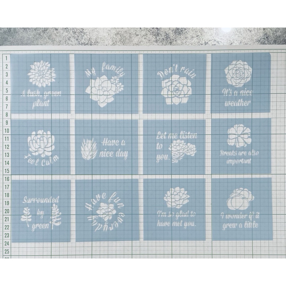 ステンシルシート　多肉植物　サボテン　No.12 ハンドメイドの素材/材料(型紙/パターン)の商品写真