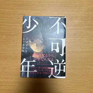 不可逆少年(文学/小説)