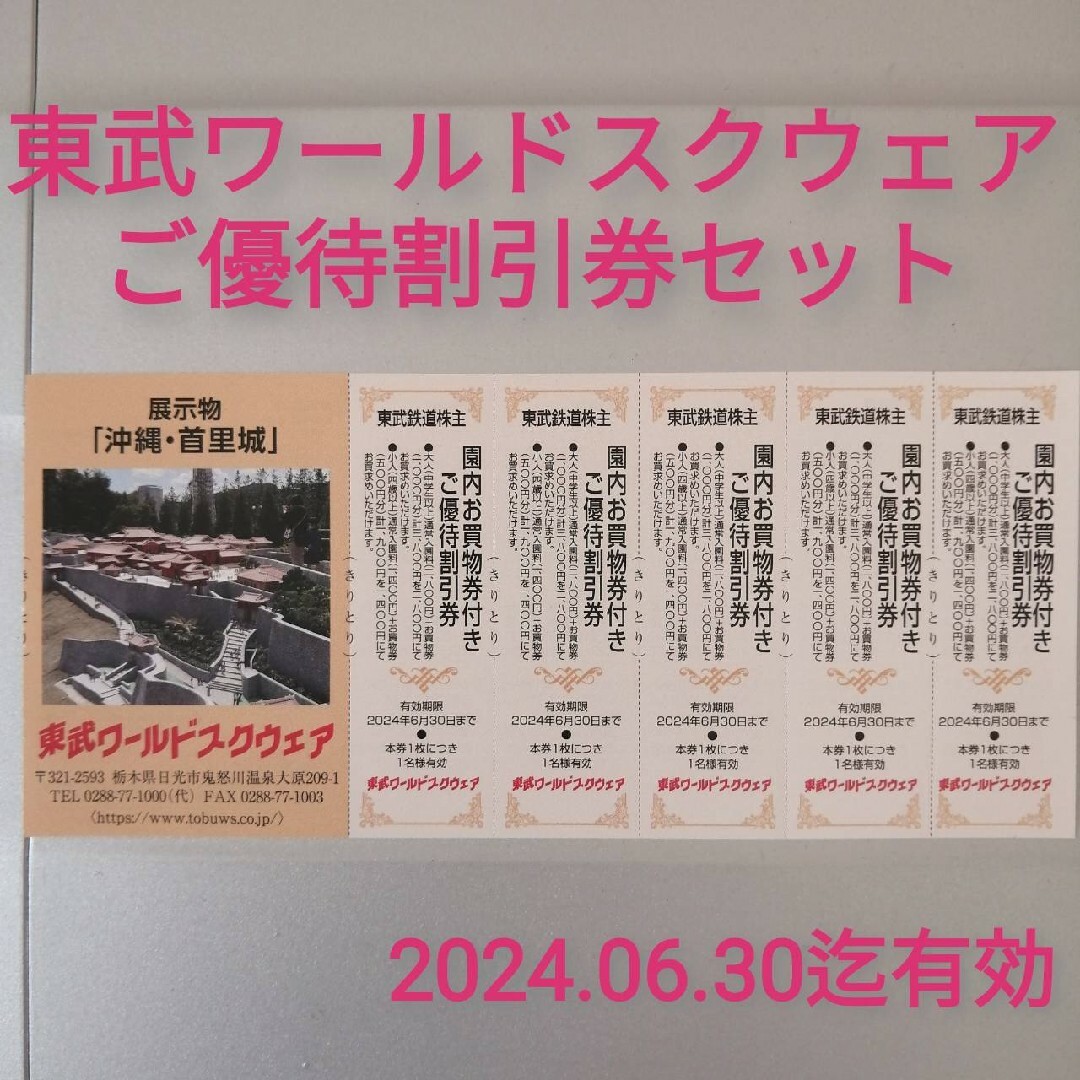 ★東武ワールドスクウェア ご優待割引券 ５枚セット チケットの施設利用券(遊園地/テーマパーク)の商品写真