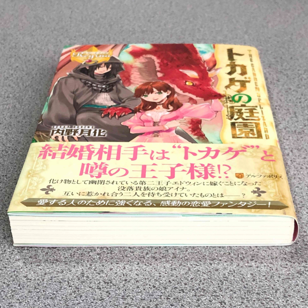 トカゲの庭園 ／内野月化  エンタメ/ホビーの本(文学/小説)の商品写真