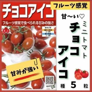 【野菜の種】フルーツのような強い甘み♡ミニトマト「チョコアイコ」の種５粒(その他)