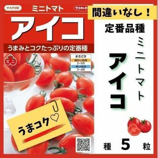 【野菜の種】おいしい定番！ミニトマト「アイコ」の種５粒(その他)