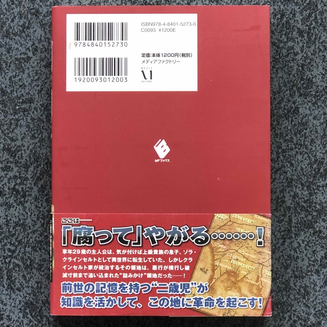 詰みかけ転生領主の改革 ／氷純 エンタメ/ホビーの本(文学/小説)の商品写真