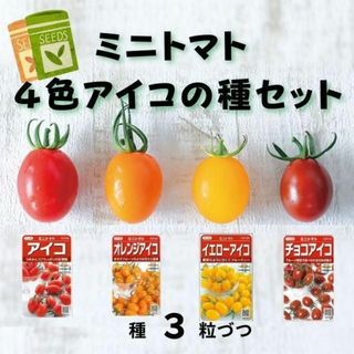 【野菜の種】カラフル美味しい♡ミニトマト「アイコ」シリーズ４色　種３粒づつ(その他)