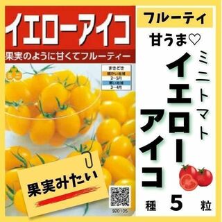 【野菜の種】フルーティな甘み♡ミニトマト「イエローアイコ」の種５粒(その他)