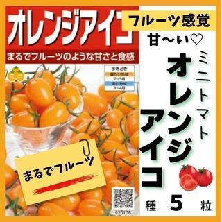 【野菜の種】フルーツ感覚の甘さ！ミニトマト「オレンジアイコ」の種５粒(その他)