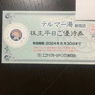 【最新】エコナック　テルマー湯　株主優待券1枚　(その他)