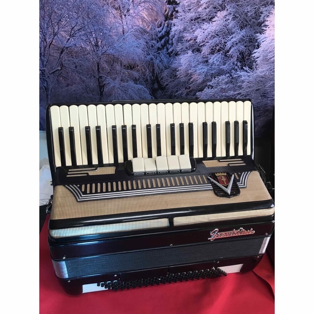 FRONTALINI GOLD 41鍵盤120べースイタリアカストロヒダルド製造 楽器の鍵盤楽器(アコーディオン)の商品写真