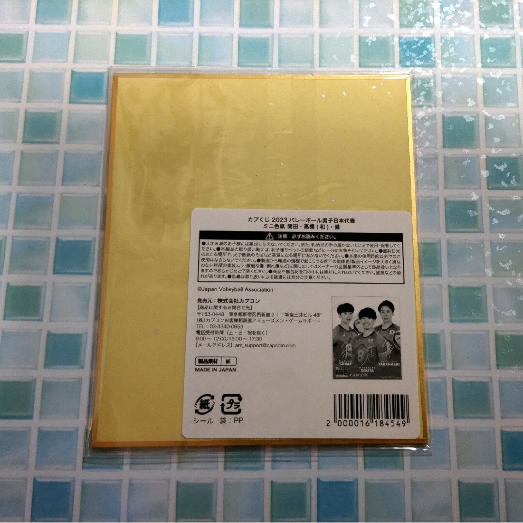 CAPCOM(カプコン)の2023バレーボール日本男子代表ミニ色紙B スポーツ/アウトドアのスポーツ/アウトドア その他(バレーボール)の商品写真
