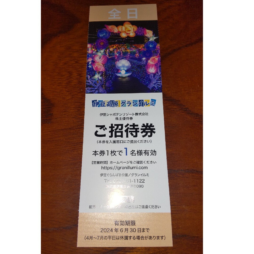 伊豆高原グランイルミ　全日1枚 チケットの施設利用券(遊園地/テーマパーク)の商品写真