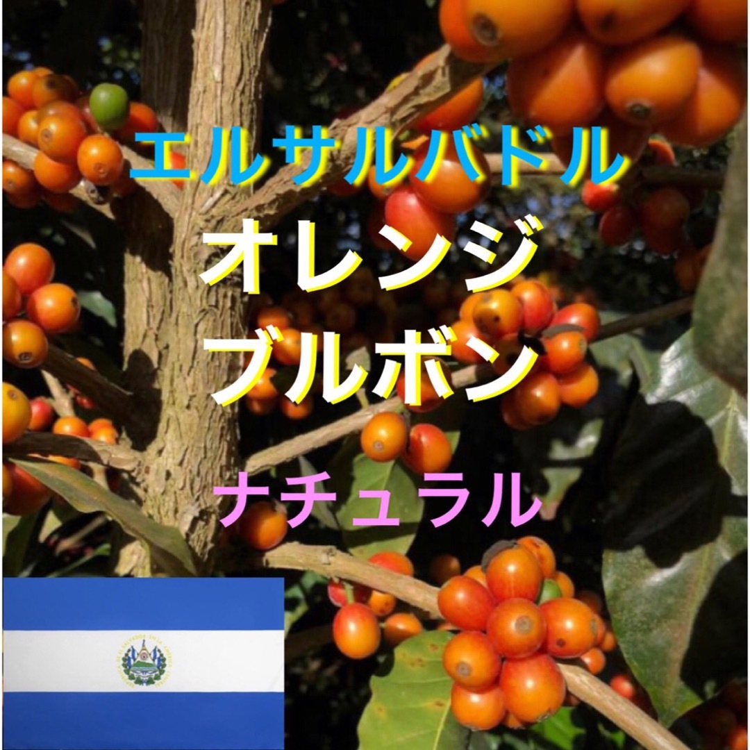 エルサルバドル　オレンジブルボン200gコーヒー生豆！焙煎してません！ 食品/飲料/酒の飲料(コーヒー)の商品写真