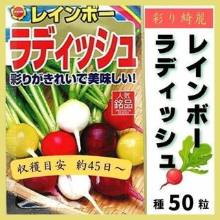 【野菜の種】虹のような綺麗な色合い「レインボーラディッシュ」収穫約３０日～(野菜)