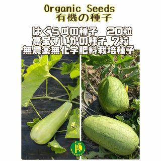 はぐら瓜（白）の種子20粒と嘉宝西瓜（かほうすいか）の種子7粒　有機の種子(野菜)