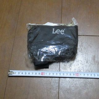 リー(Lee)のレインカバー(旅行用品)