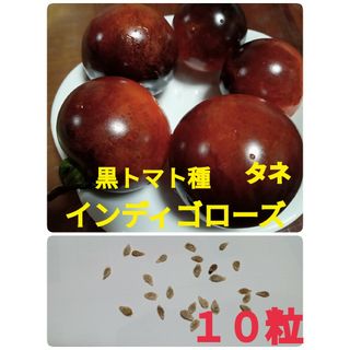 タチアオイ•スノーフレーク•ダビデの星➕かぼちゃ➕黒トマト種　インディゴローズ(野菜)