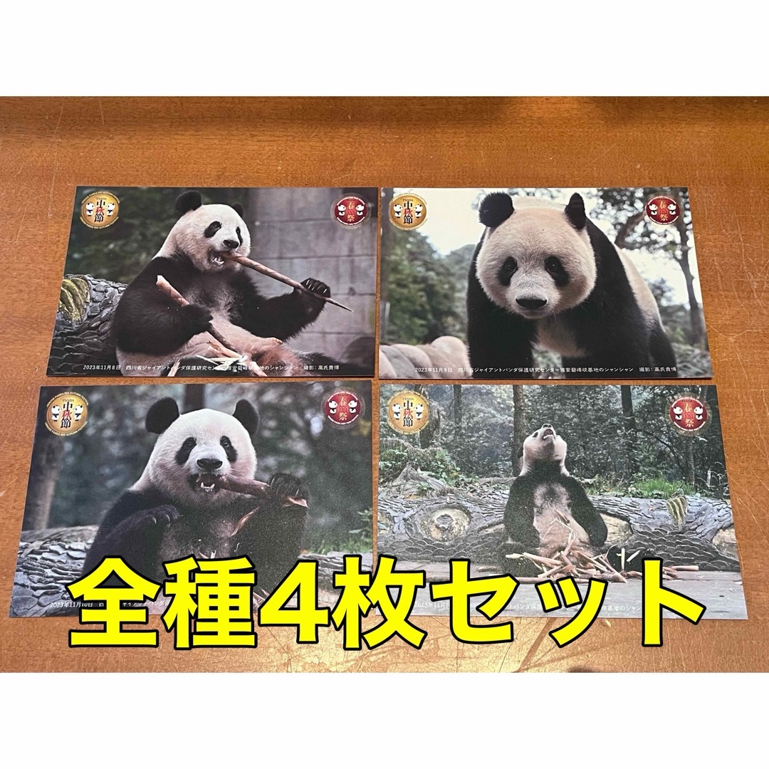 4枚セット【限定ポストカード】シャンシャン 上野動物園 全種 春節祭 