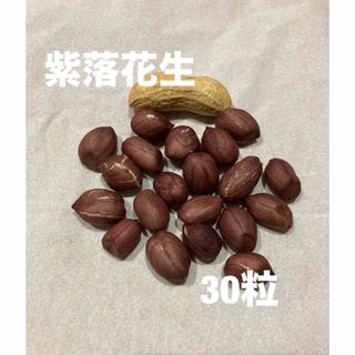 紫落花生　種　30粒(野菜)