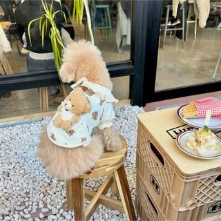 犬服　ペット服　ドッグウェア  可愛い　オシャレ　犬用品　ハーネス(犬)