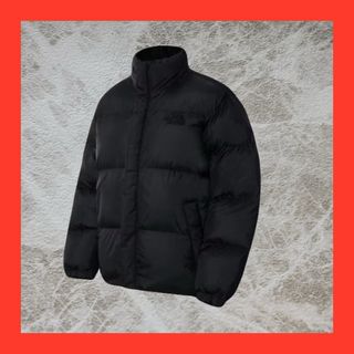 ザノースフェイス(THE NORTH FACE)のTHE NORTH FACE RIVERTON ON BALL JACKET A(ダウンジャケット)