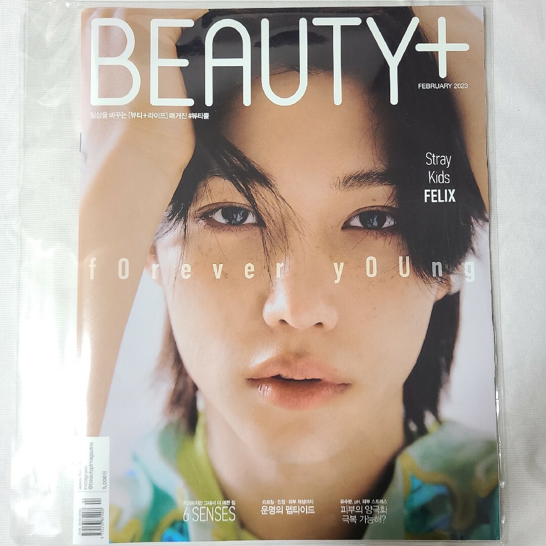 Stray Kids(ストレイキッズ)のBEAUTY+ フィリックス felix StrayKids 雑誌 和訳 特典 エンタメ/ホビーの雑誌(アート/エンタメ/ホビー)の商品写真