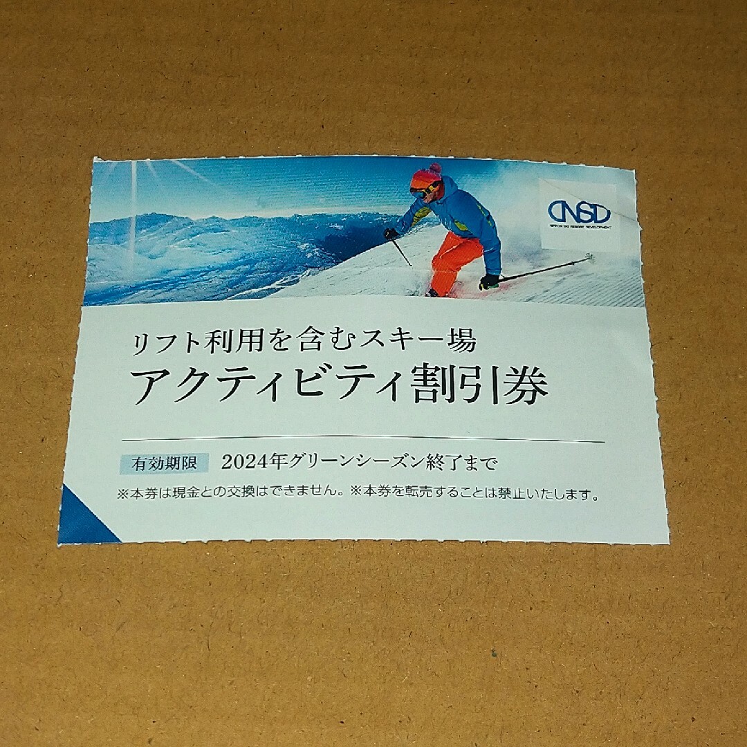 日本駐車場開発 株主優待 リフト利用含むスキー場 アクティビティ割引券 1枚 チケットの施設利用券(スキー場)の商品写真