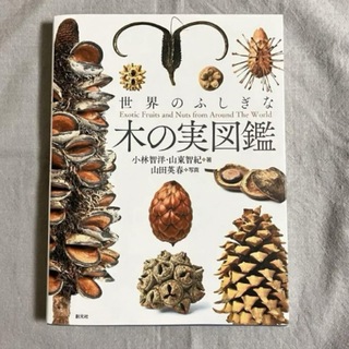 世界のふしぎな木の実図鑑(趣味/スポーツ/実用)