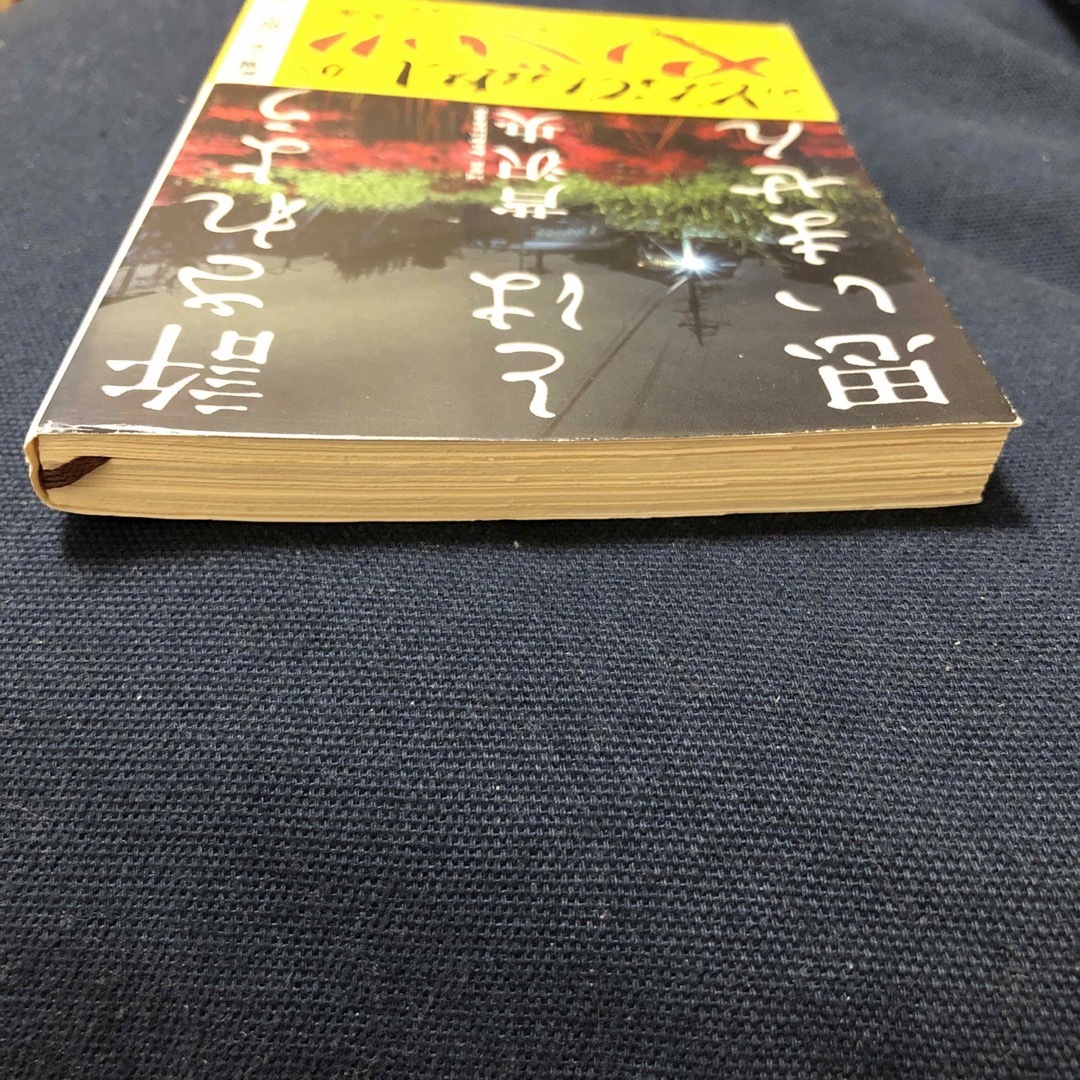 新潮文庫(シンチョウブンコ)の許されようとは思いません エンタメ/ホビーの本(その他)の商品写真