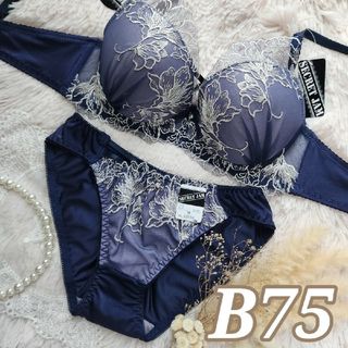 №505【B75】シアーエンブロイダリーブラジャー&フルバックショーツ(ブラ&ショーツセット)