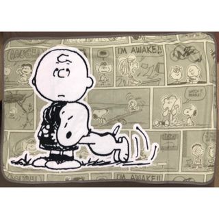 スヌーピー(SNOOPY)のスヌーピー  メイト　チャーリーブラウンのあったかブランケット(キャラクターグッズ)