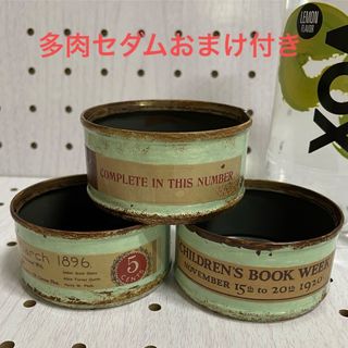 リメイク缶 リメ缶 3個セット 多肉セダムおまけ付き(その他)