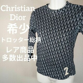 クリスチャンディオール(Christian Dior)のⅥ87美品　クリスチャンディオール　希少　Tシャツ　38　長袖　トロッター総柄(Tシャツ(長袖/七分))
