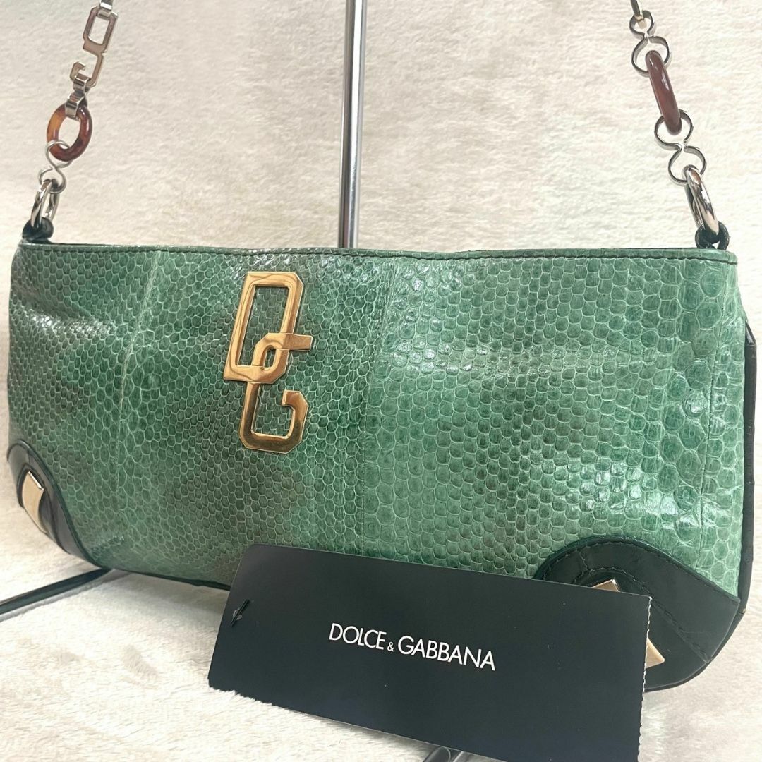 DOLCE&GABBANA(ドルチェアンドガッバーナ)の【定価9万円/極美品】 ドルガバ アクセサリーポーチ パイソン型押し タグ付き レディースのバッグ(ショルダーバッグ)の商品写真