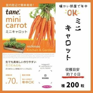 【野菜の種】年中栽培OK「ミニキャロット」約７０日～収穫　キッチンガーデン(野菜)