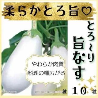 【野菜の種・茄子の種】柔らかとろ旨♡美味しい白ナス「とろ～り旨なす」種１０粒(野菜)