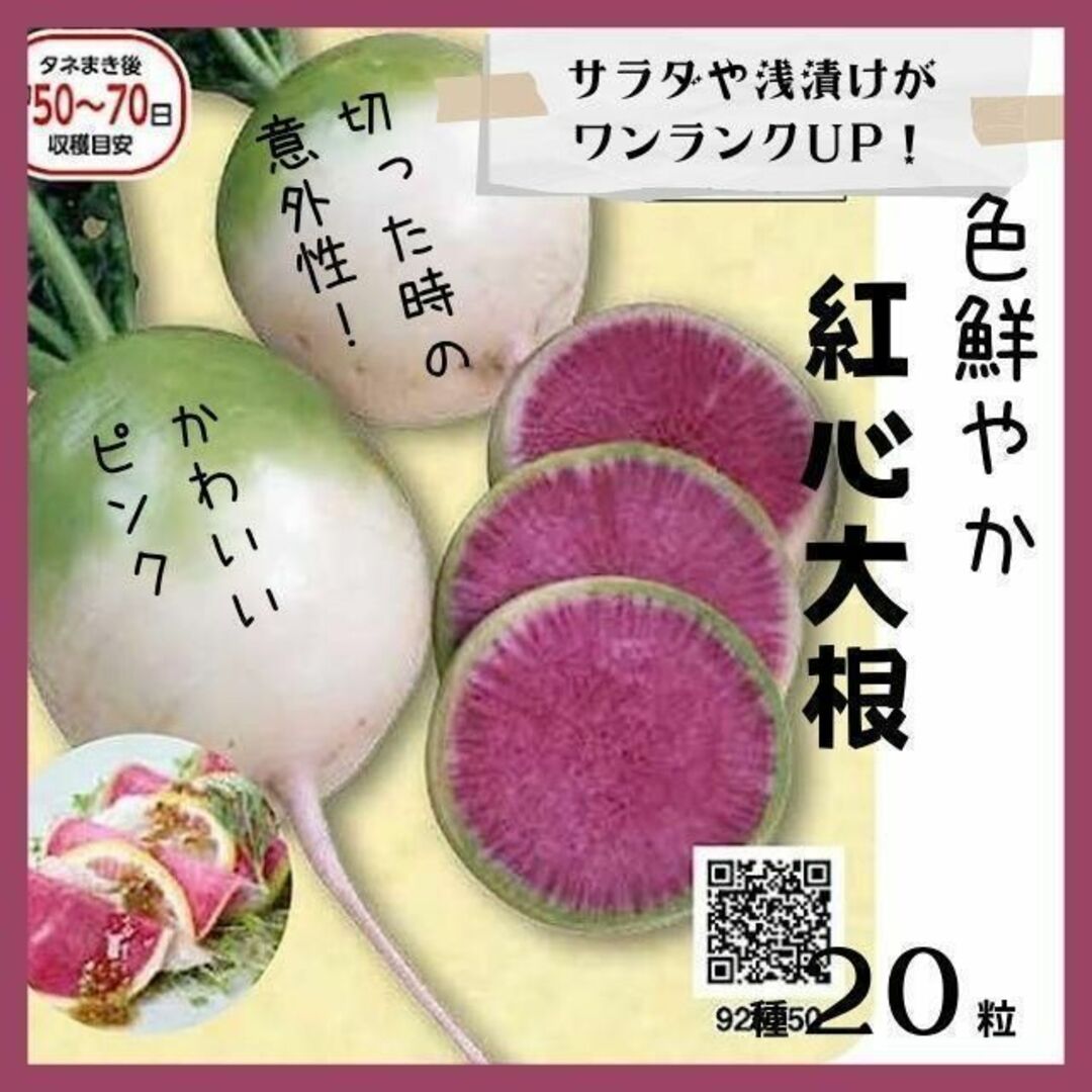 【野菜の種】中が鮮やかピンク「あざやか紅心大根」種２０粒～収穫約６０日～ 食品/飲料/酒の食品(野菜)の商品写真