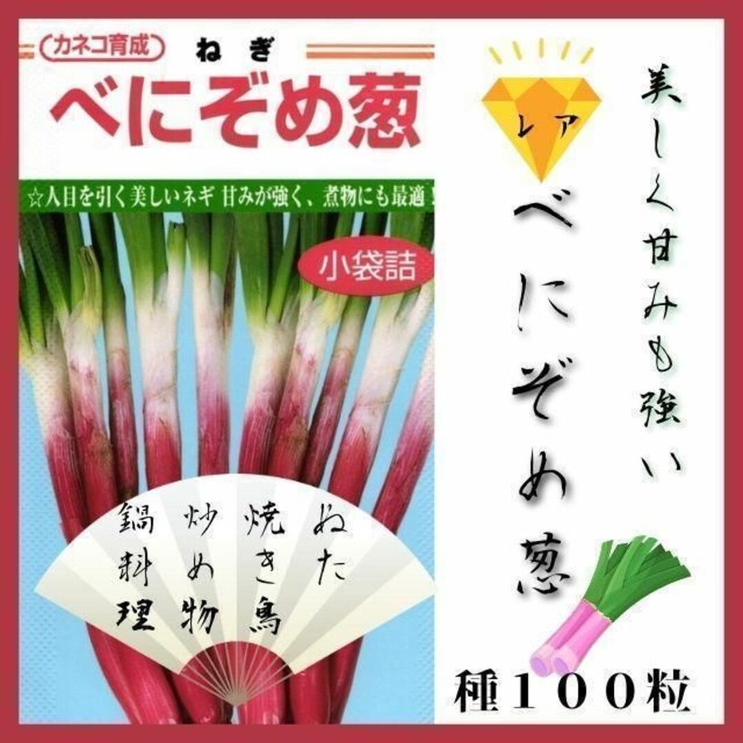 【レア】【野菜の種】甘くておいしい紅ネギ「べに染め葱」種１００粒～ 食品/飲料/酒の食品(野菜)の商品写真