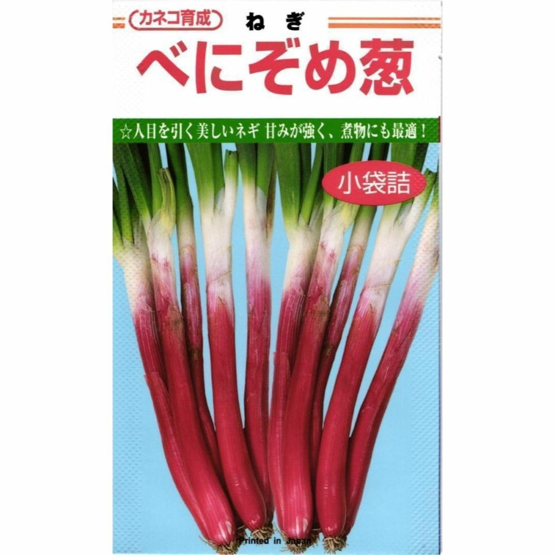 【レア】【野菜の種】甘くておいしい紅ネギ「べに染め葱」種１００粒～ 食品/飲料/酒の食品(野菜)の商品写真