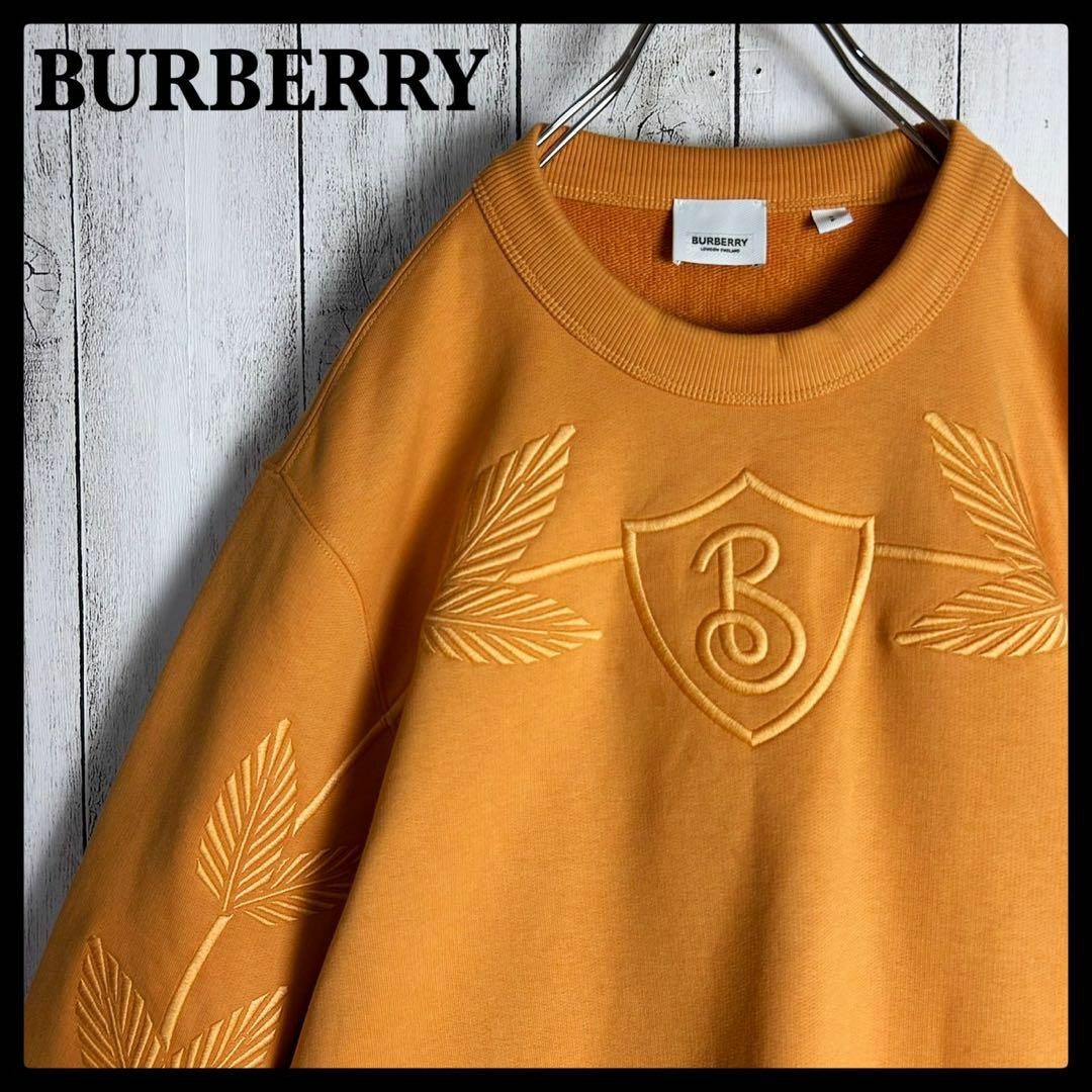 BURBERRY(バーバリー)の【超希少デザイン】バーバリー☆センター刺繍ビッグロゴ入りスウェット 入手困難 メンズのトップス(スウェット)の商品写真