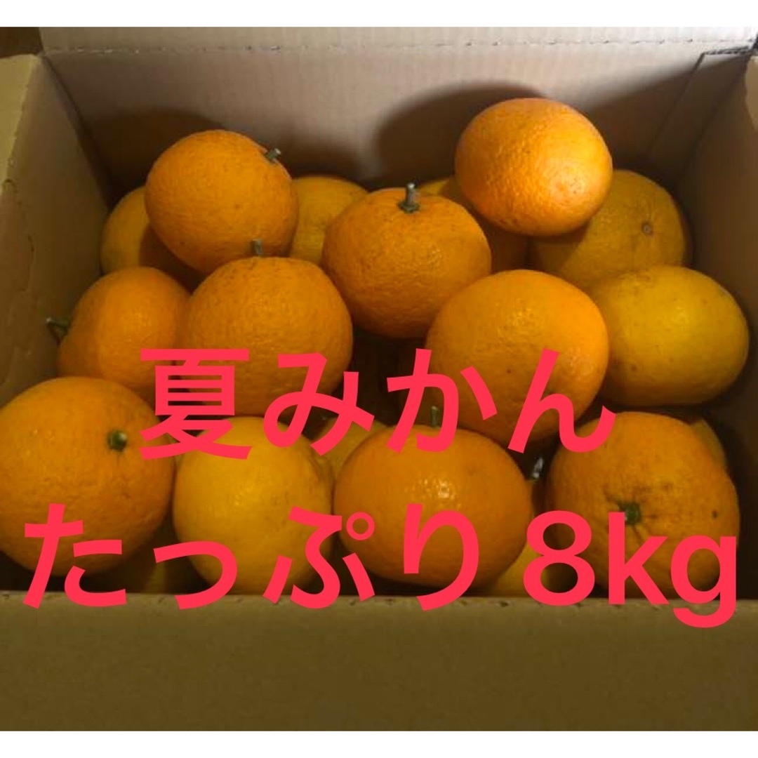 夏みかん☺︎箱込み8kg☺︎無農薬☺︎徳島産 食品/飲料/酒の食品(フルーツ)の商品写真