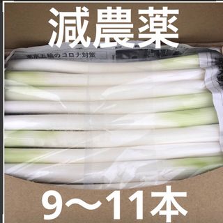 ずっしり重い！！　　カット白長ネギ　A4サイズ(野菜)