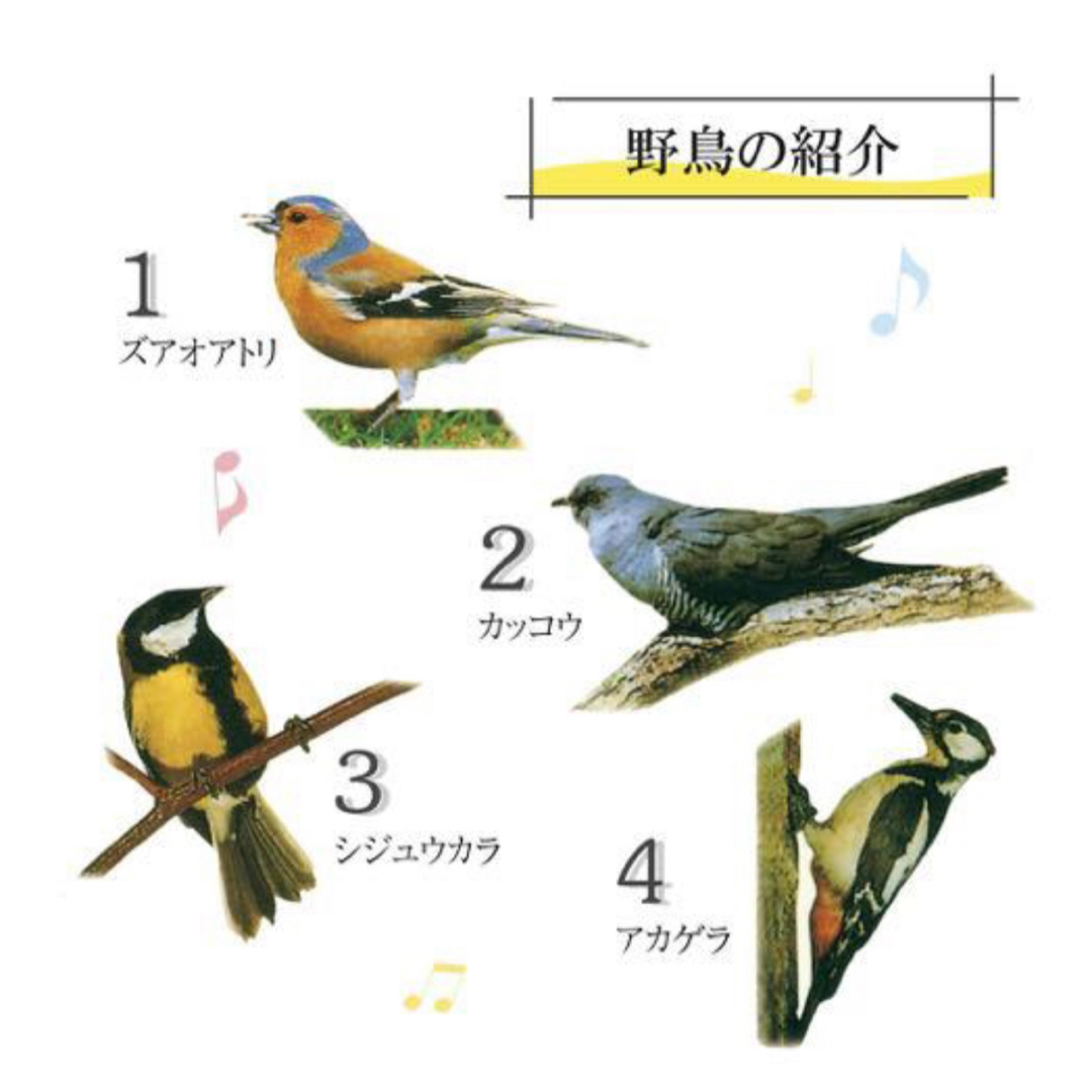 展示品　野鳥の電波時計 電波自動受信 日本標準 電波自動受信 掛け時計 安眠機能 インテリア/住まい/日用品のインテリア小物(掛時計/柱時計)の商品写真