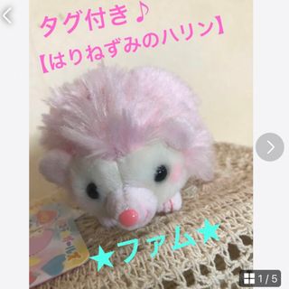 ★タグ付き♪ とってもかわいい【はりねずみのハリン】★ファム／マスコット★(ぬいぐるみ)